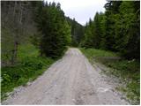 Koprivna (Kumer) - Velika glava (Peca)
